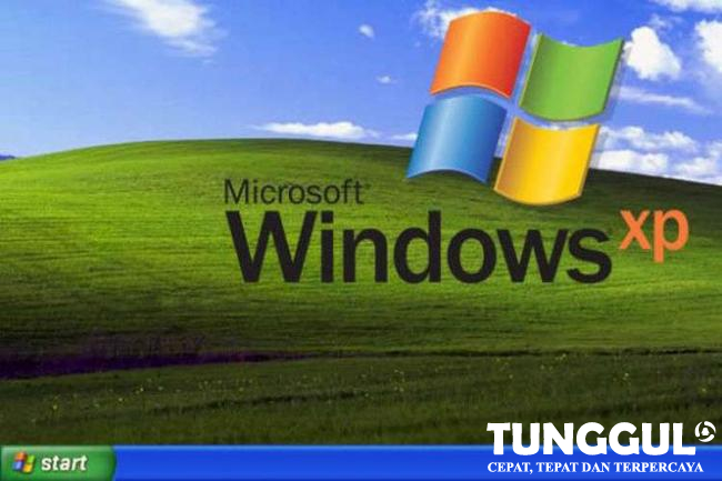 Ingat Wallpaper Windows XP Legendaris Ini? Begini Sejarahnya