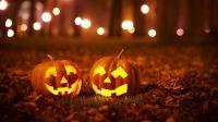 Menelusuri Jejak Halloween: Dari Samhain hingga Malam Para Penyihir