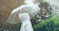 Menghadapi Hujan dengan Sehat: Tips Ampuh Menjaga Kesehatan di Musim Hujan